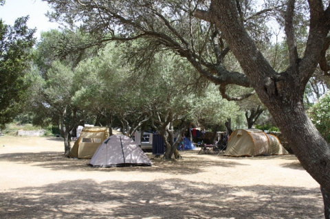Camping LA POMPOSA - Bonifatius