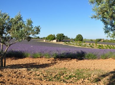 La Rivière - Provence-Alpes-Côte d'Azur - Saint-Maime - 308€/sem