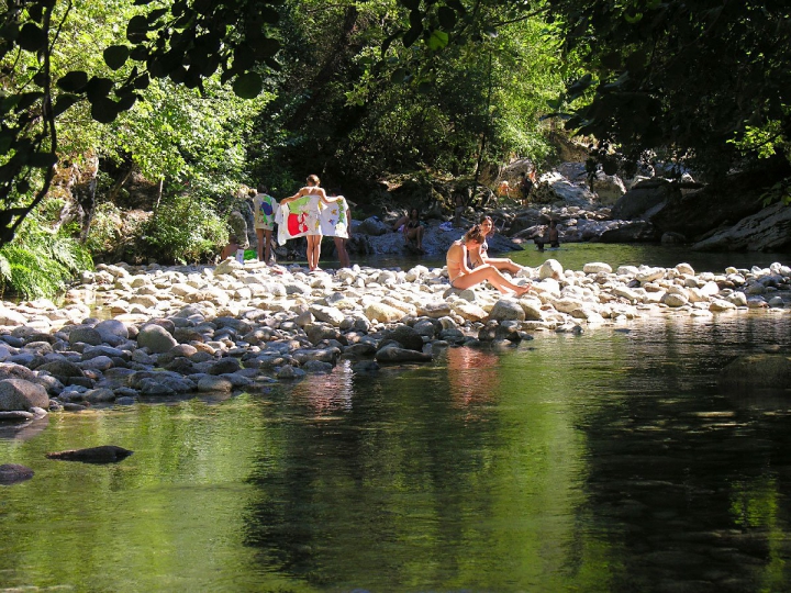 Camping L'Alivetu - Snijden