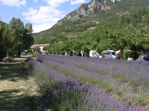 Saint-Ferréol-Trente-Pas - 2 - campings