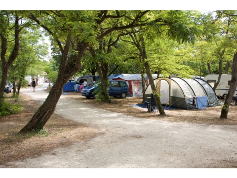 Camping - Saint-Georges-d'Oléron - Poitou-Charentes - Le Suroit - Image #5