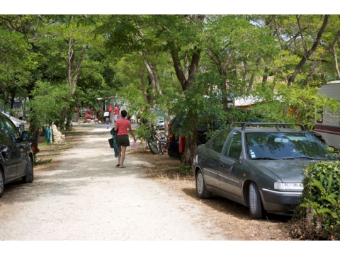 Camping - Saint-Georges-d'Oléron - Poitou-Charentes - Le Suroit - Image #7