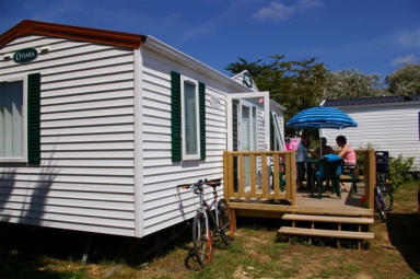 Camping - Saint-Georges-d'Oléron - Poitou-Charentes - Le Suroit - Image #9