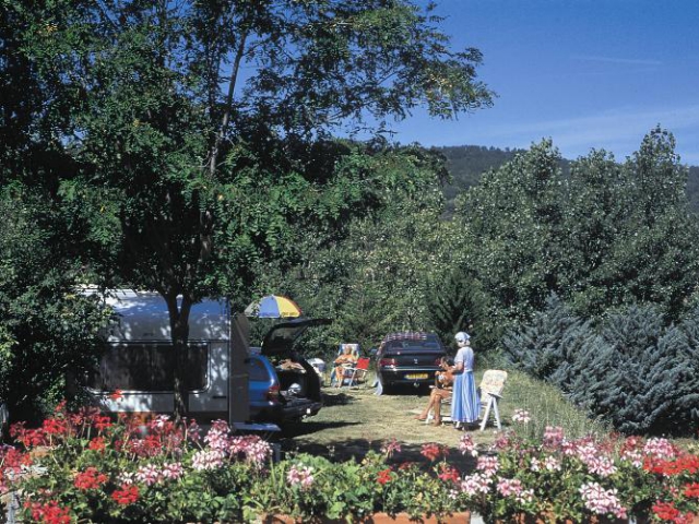 Camping LE VIEUX COLOMBIER - Moustiers-Sainte-Marie