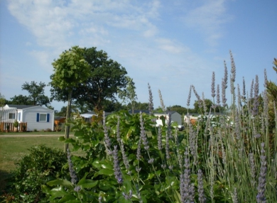 Camping - Les Moutiers en Retz - Pays de Loire - Les Brillas - Image #10