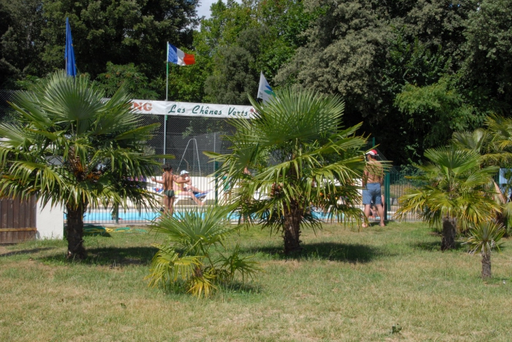 Les Chenes Verts - Poitou-Charentes - Meschers-sur-Gironde - 550€/sem