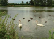 Camping CENTRE DE LOISIRS LES ETANGS DU PARC DE GARENNES - Garennes-sur-Eure