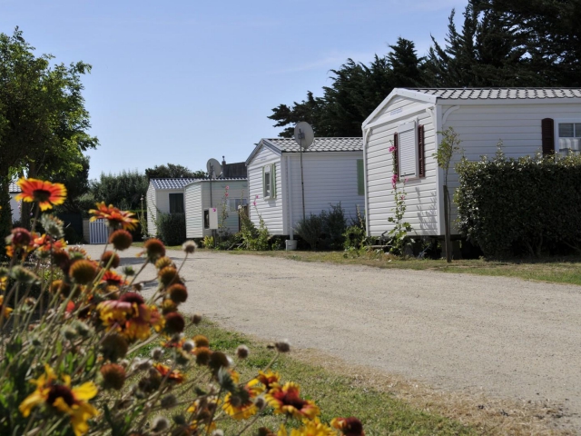 Camping LES FLOTS N°1 - Saint-Pierre-d'Oléron