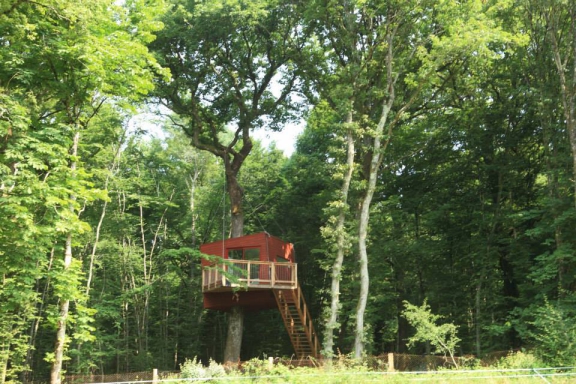 Camping Les Galants - Saint-Vérain