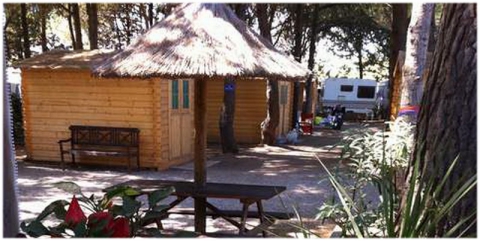 Camping LES PINS - Agde