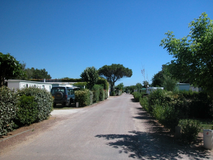 Camping LES TAMARIS - Saint-Pierre-d'Oléron