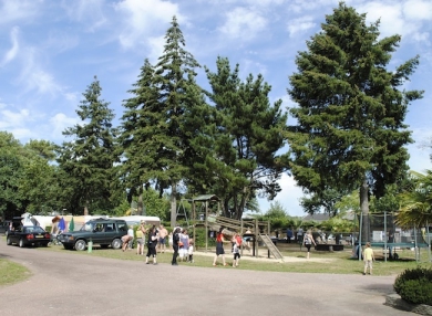 Camping - Guéméné-Penfao - Pays de Loire - L'Hermitage - Image #10