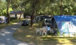 Camping L'ILE DU CHATEAU - Ponts-de-Cé