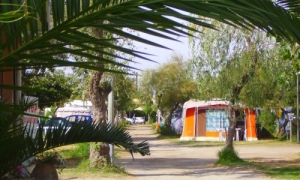 Camping Mediterranee Camping - Frontignan