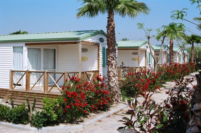 Camping - Cambrils - Costa Dorada - Platja Cambrils Don Camilo - Image #3