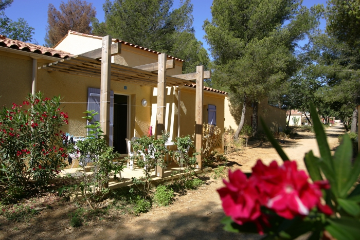 Camping Bormes-les-Mimosas - 10 - campings