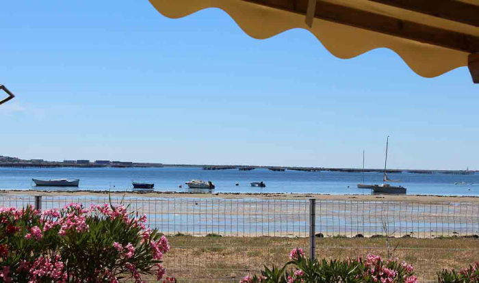 Camping - Mèze - Languedoc-Roussillon - Camping Beau Rivage - Image #16