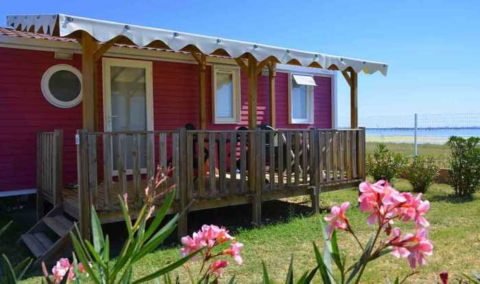 Camping - Mèze - Languedoc-Roussillon - Camping Beau Rivage - Image #7