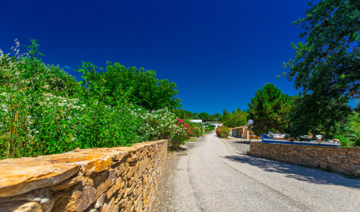 Camping - La Garde-Freinet - Provence-Alpes-Côte d'Azur - Domaine de Miremer - Image #4