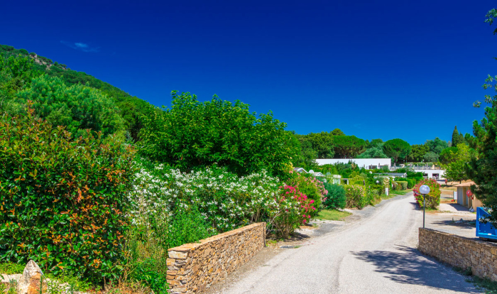 Camping - La Garde-Freinet - Provence-Alpes-Côte d'Azur - Domaine de Miremer - Image #5