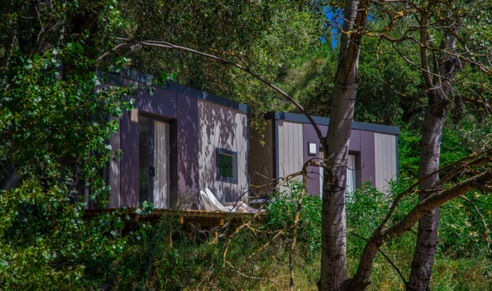 Camping - La Garde-Freinet - Provence-Alpes-Côte d'Azur - Domaine de Miremer - Image #6