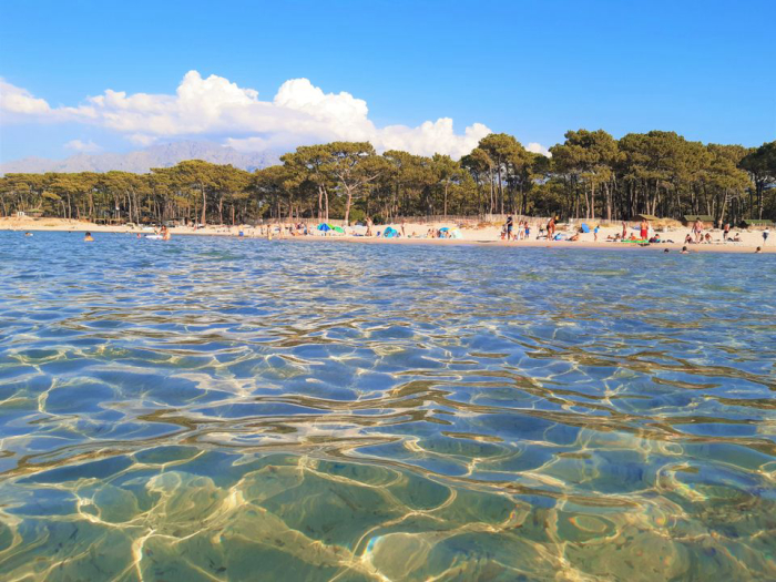 Camping - Calvi - Corsica - La Dolce Vita - Image #2