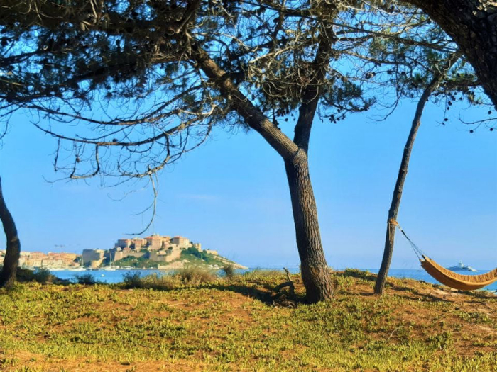 Camping - Calvi - Corsica - La Dolce Vita - Image #6