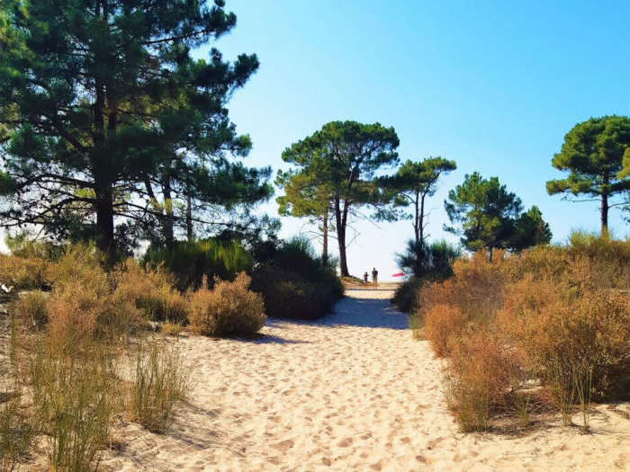 Camping - Calvi - Corsica - La Dolce Vita - Image #1