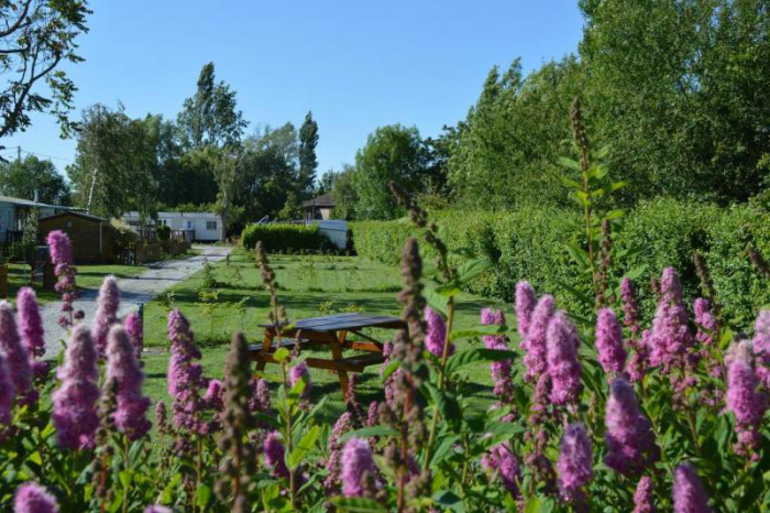 Camping La Petite Forêt - Aire-sur-la-Lys