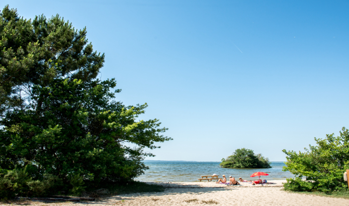 Camping - Gastes - Aquitaine - La Réserve - Image #14