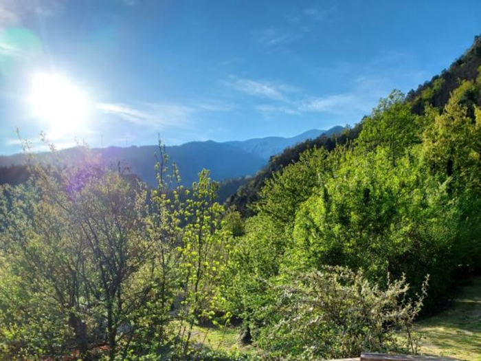 Camping - Vernet-les-Bains - Languedoc-Roussillon - Camping Les Cerisiers - Image #5