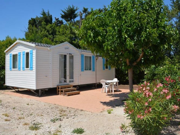 Camping - Graveson - Provence-Alpes-Côte d'Azur - Camping Les Micocouliers - Image #2