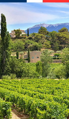 De beste natuurcampings