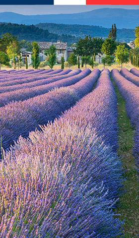 Topcampings in de Luberon